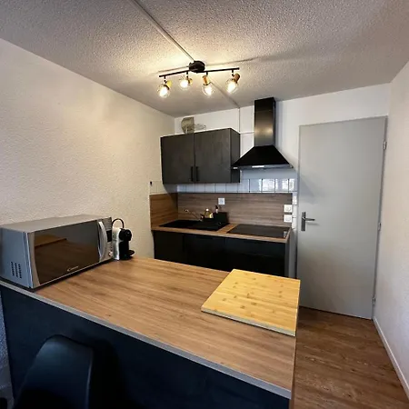 Chaleureux & Renove | Ideal 4 A 6 Vacanciers 莱德萨阿尔卑斯